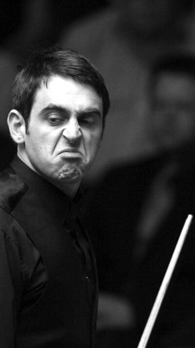 更是金州勇 更是金州勇