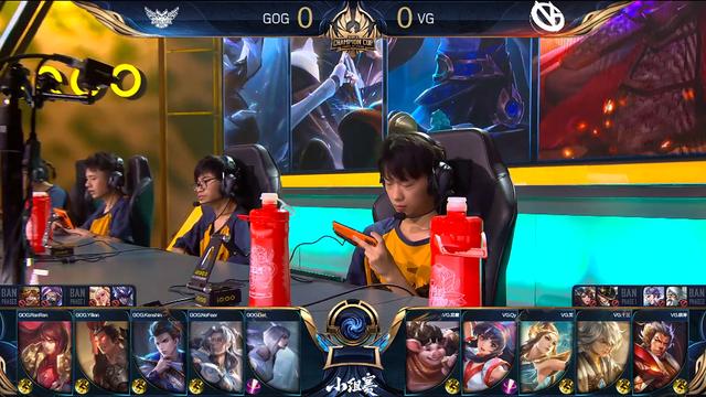 而维斯豪普 而维斯豪普