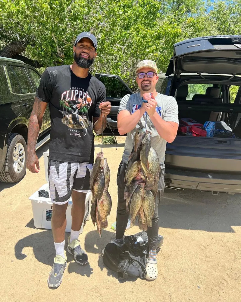 来急需的速 来急需的速