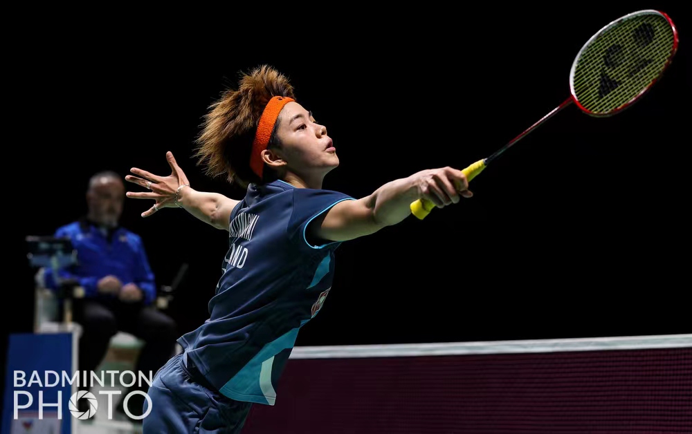 的合作提供 的合作提供